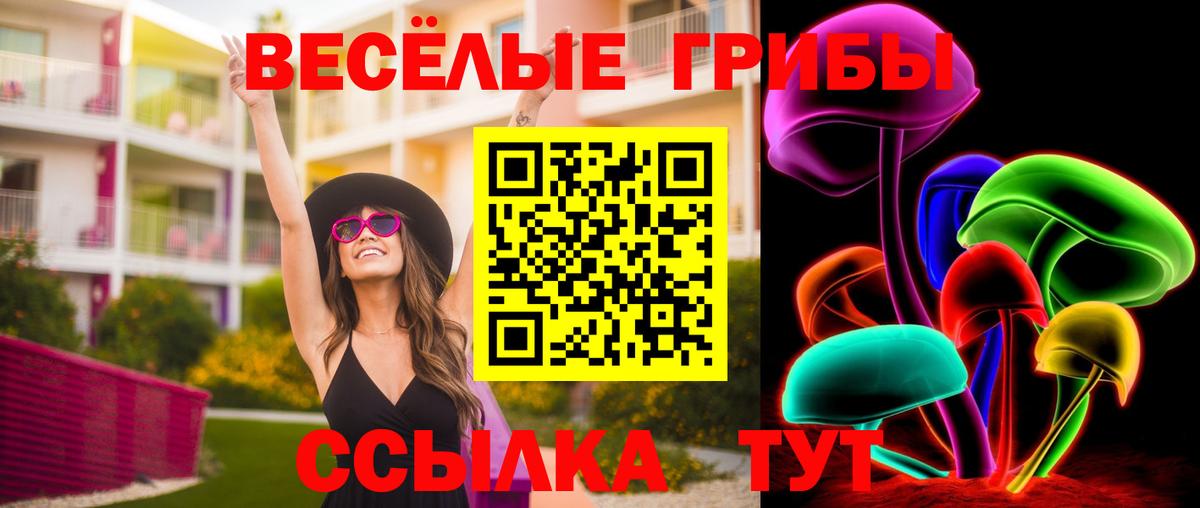 Галлюциногенные грибы Psilocybe Елабуга