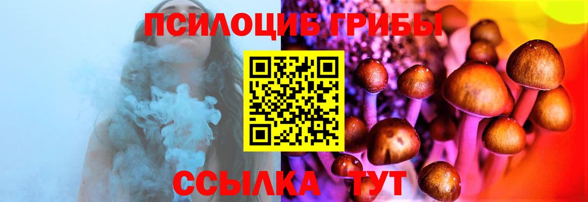 Елабуга  Псилоцибиновые грибы MAGIC MUSHROOMS  наркота  Вход с VPN 